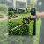 Crystal City Landscaping & Outdoor Services by Patriot Pro Solutions LLC